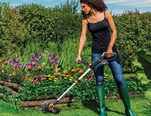 How-to-Pick-the-Right-Commercial-Weed-Eater How-to-Pick-the-Right-Commercial-Weed-Eater
